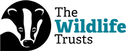 The Wildlife Trust Logo