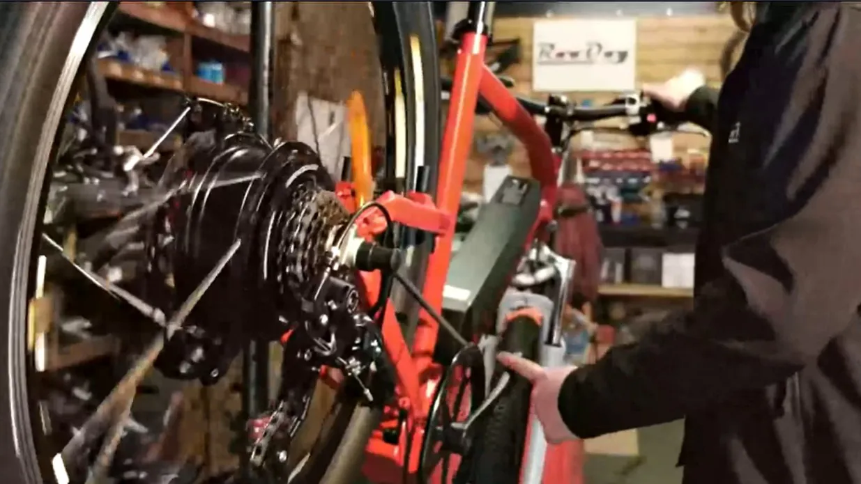 Roodog Electric Bikes Range 3